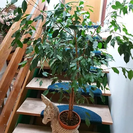 Apartman Apartma Reich *