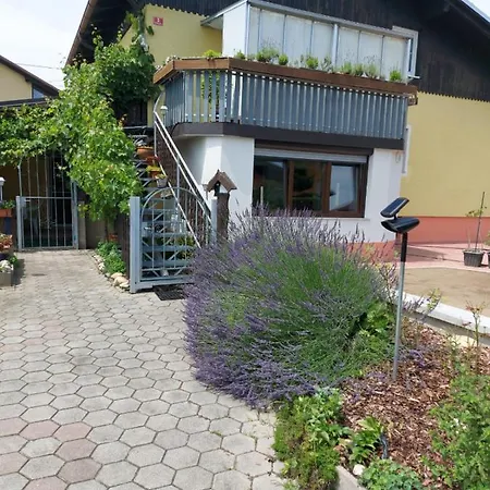 Apartment Apartma Reich